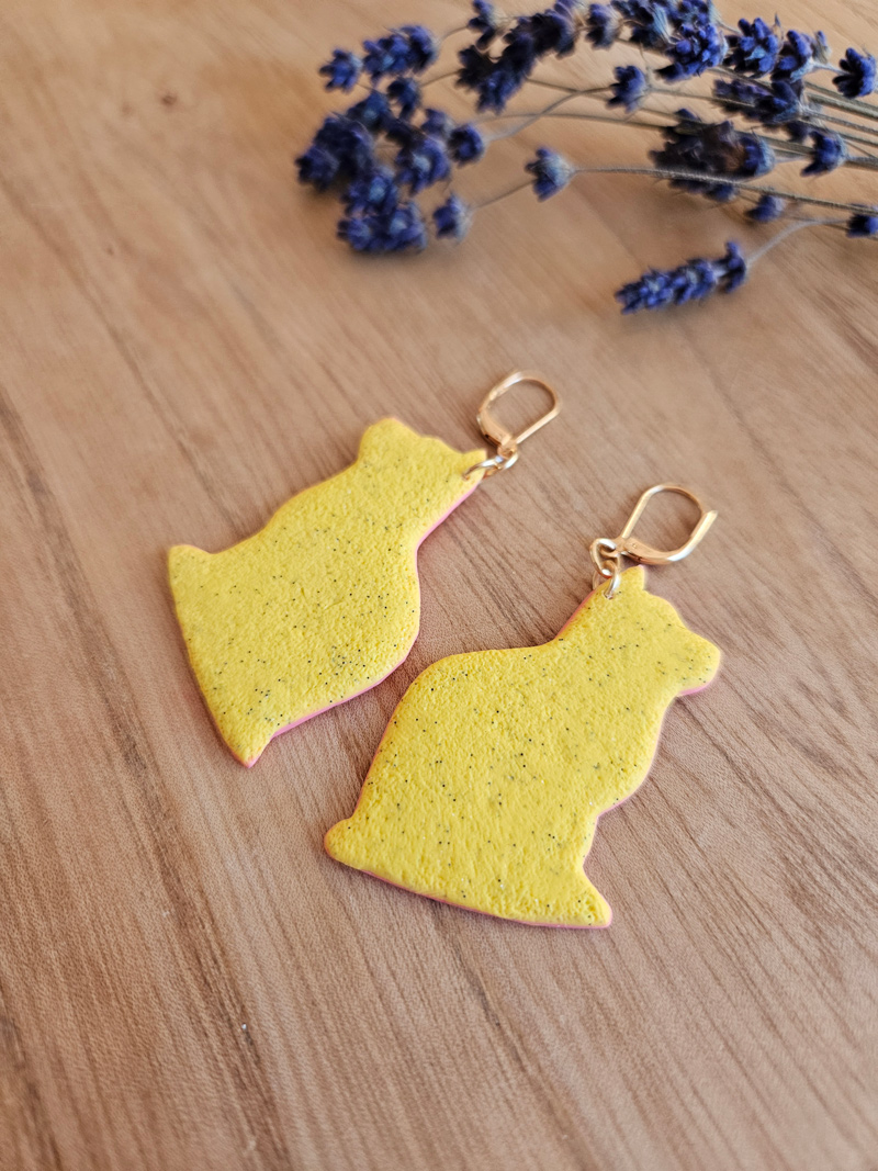 kassiga kõrvarõngad