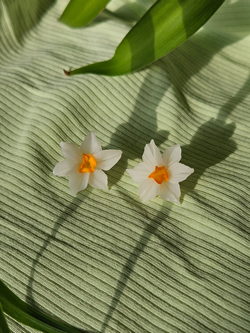 nartsissiga kõrvarõngad