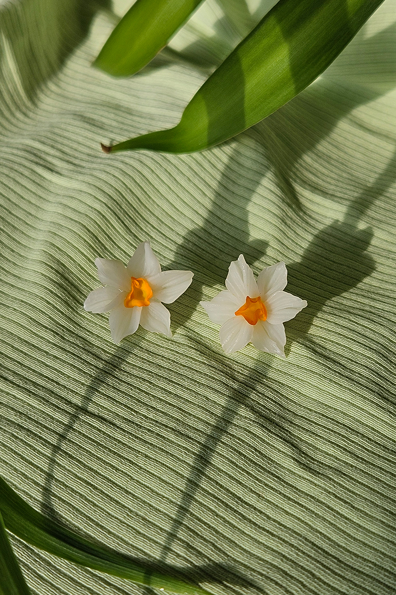 nartsissiga kõrvarõngad
