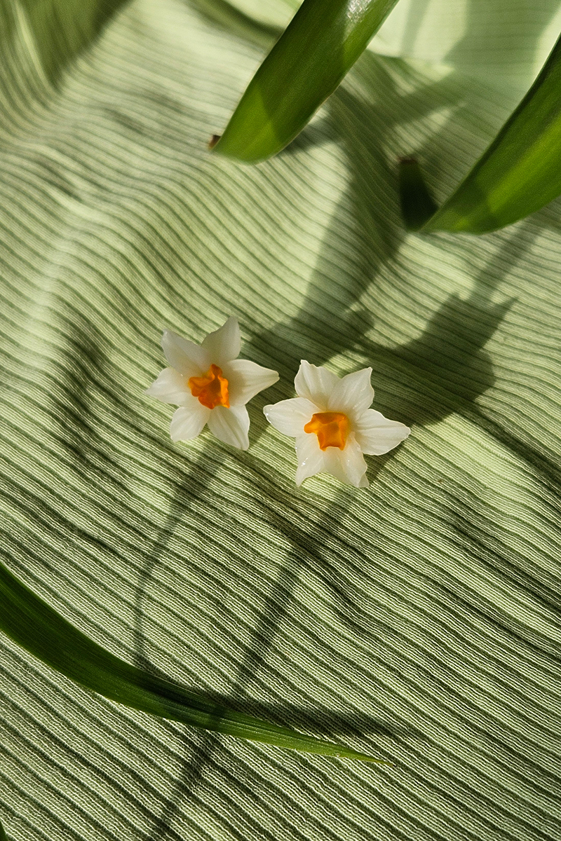 nartsissiga kõrvarõngad