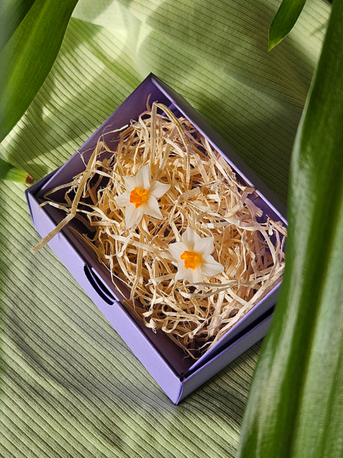 kõrvarõngad nartsiss