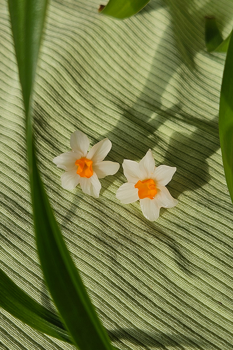 nartsissiga kõrvarõngad