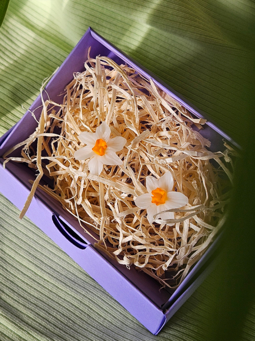 nartsissiga käsitöö kõrvarõngad