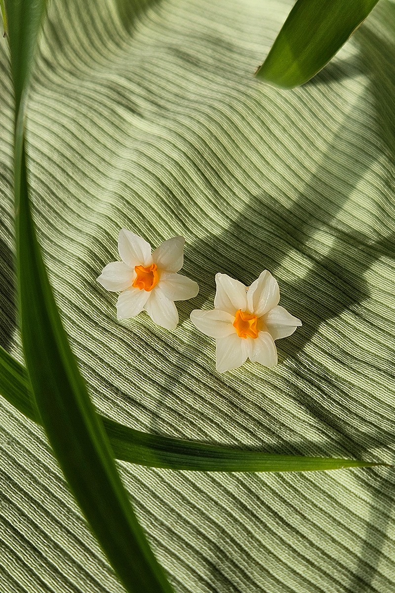 Nartsissiga kõrvarõngad