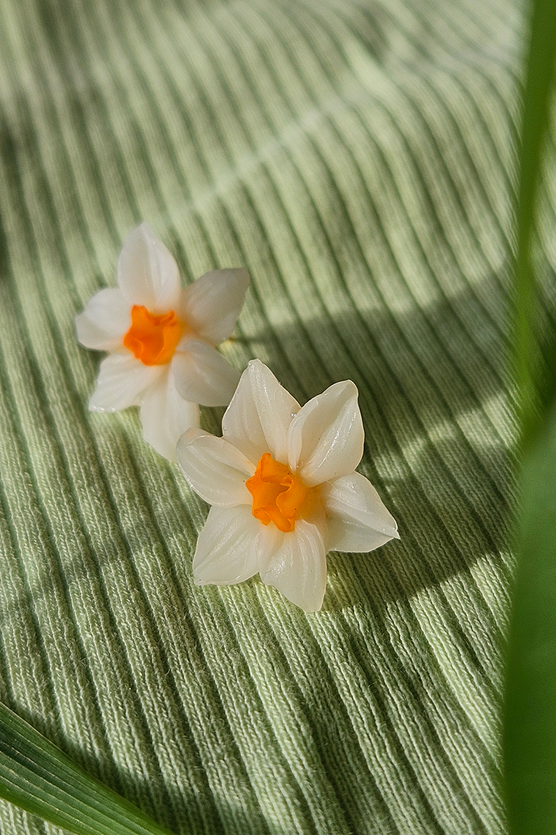 nartsissiga käsitöö kõrvarõngad