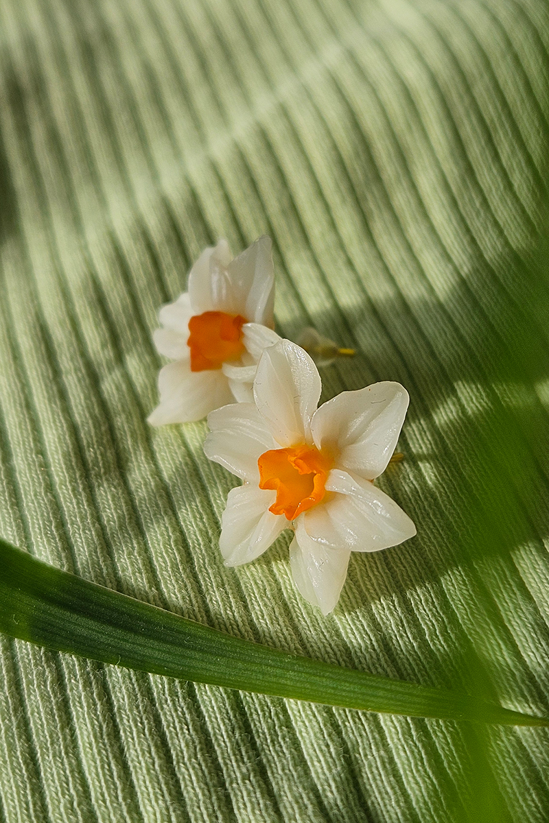 nartsissiga käsitöö kõrvarõngad