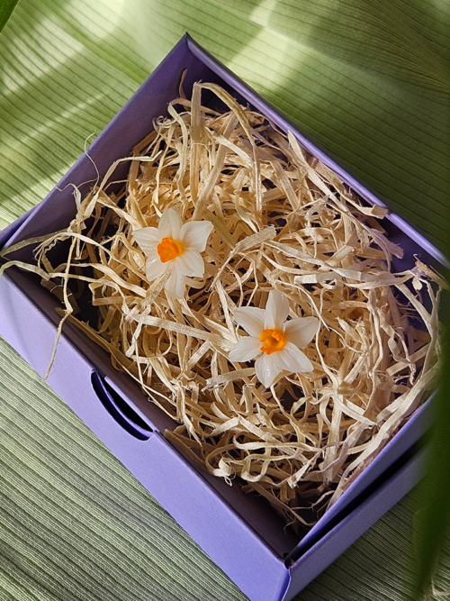 nartsissiga käsitöö kõrvarõngad