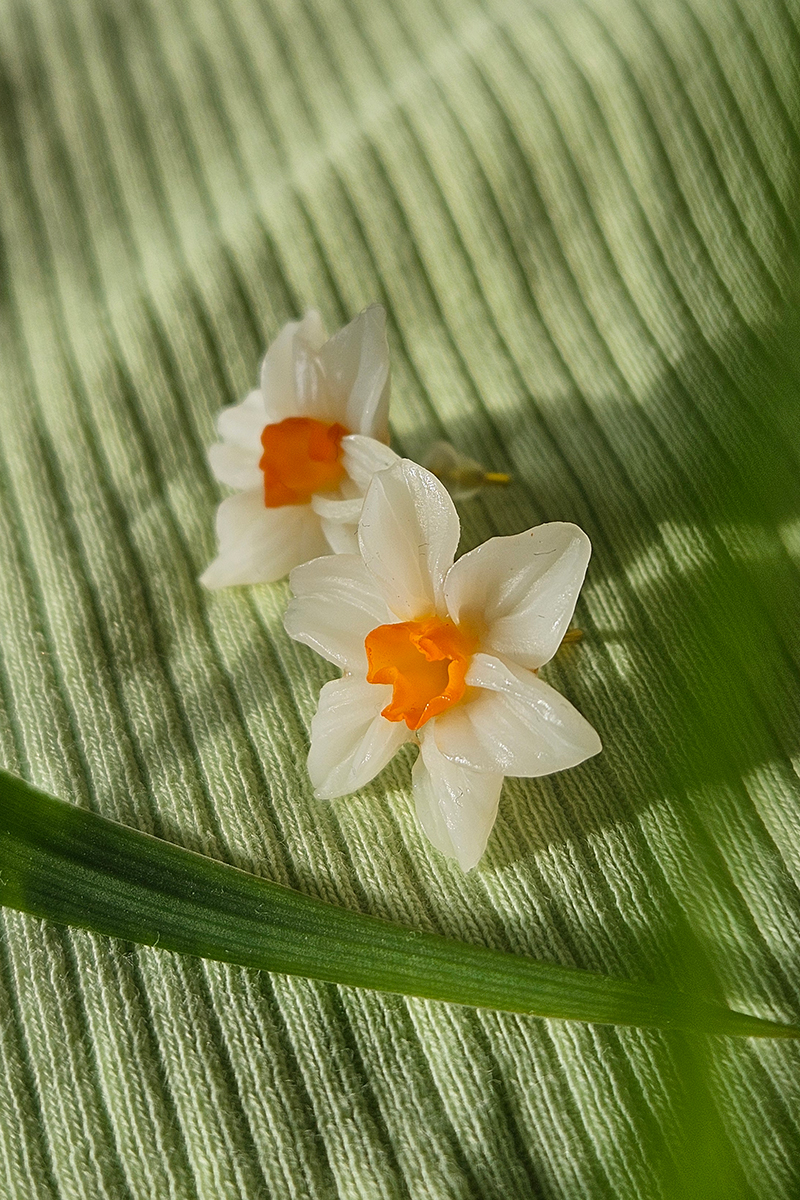 nartsissiga käsitöö kõrvarõngad