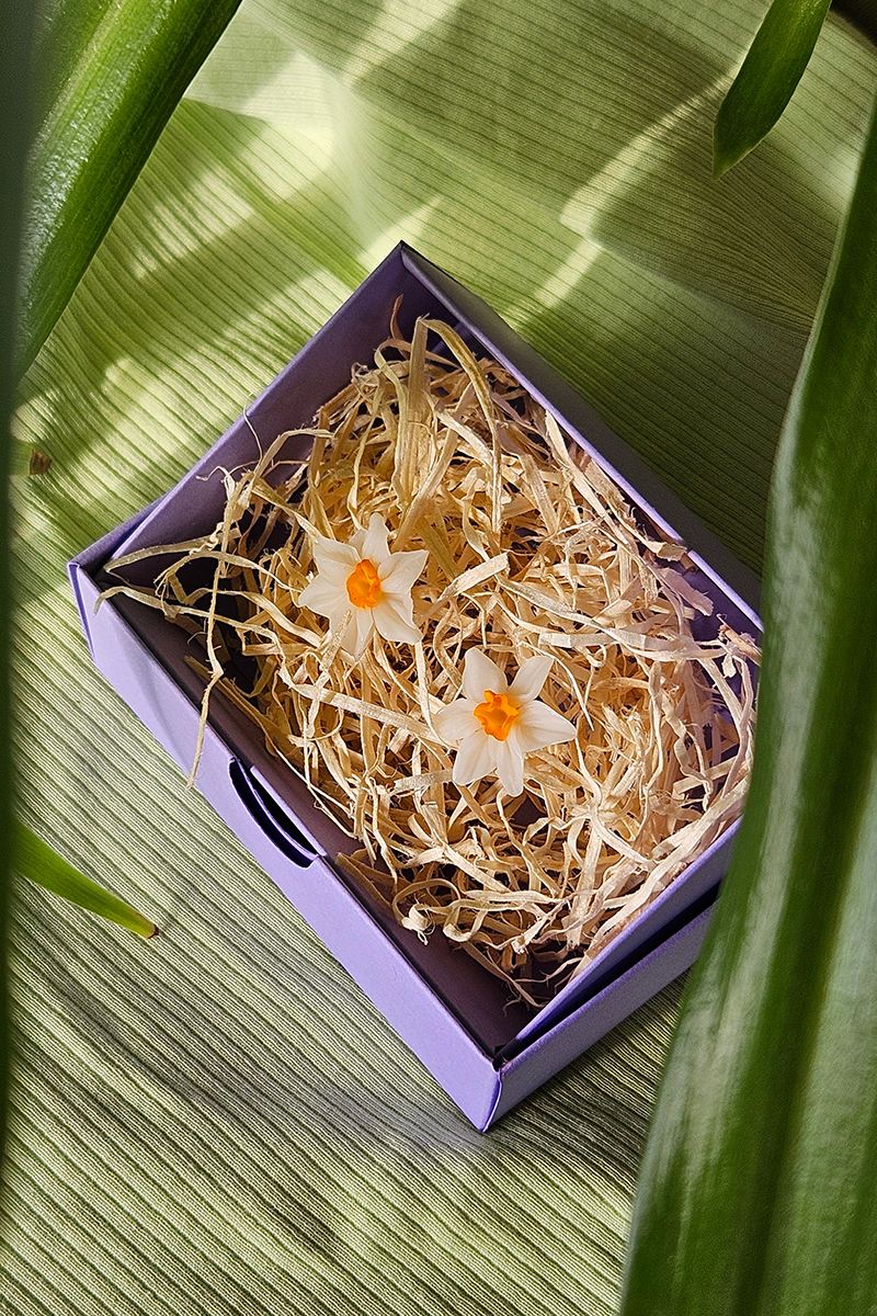 nartsissiga käsitöö kõrvarõngad