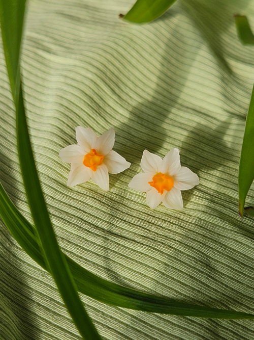 Nartsissiga kõrvarõngad