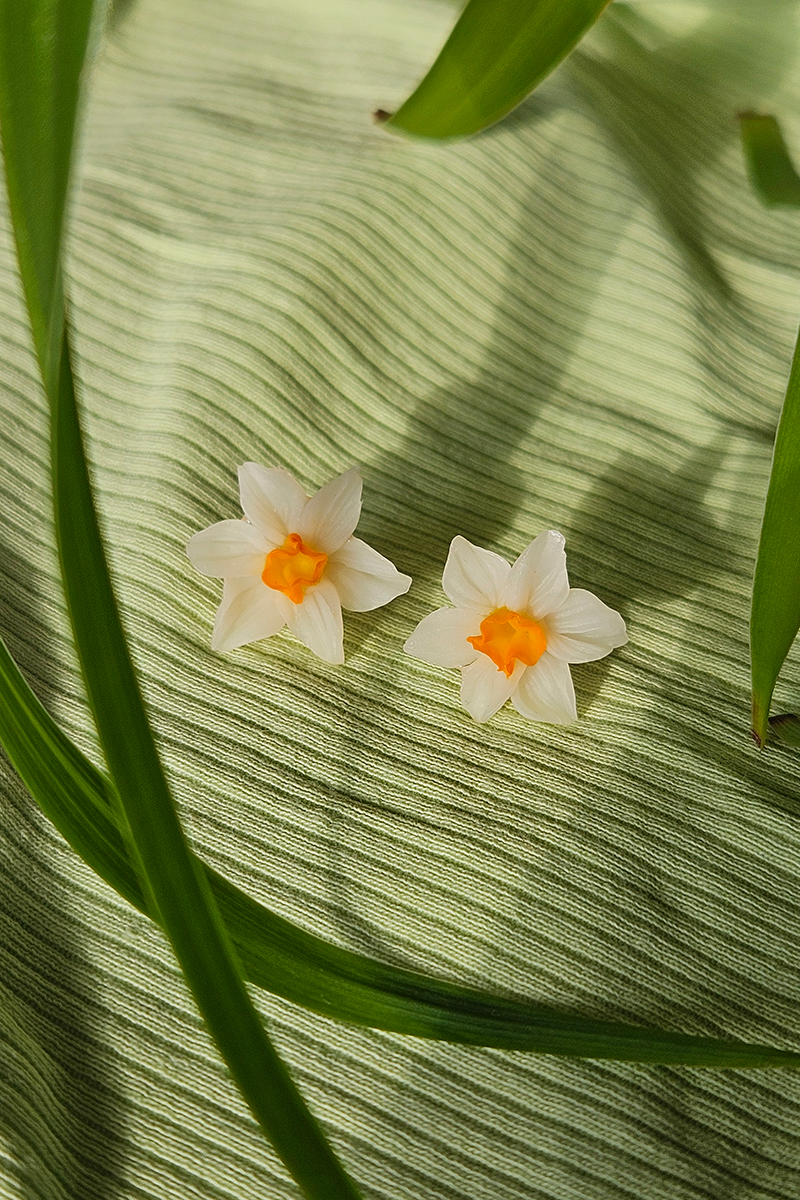 Nartsissiga kõrvarõngad