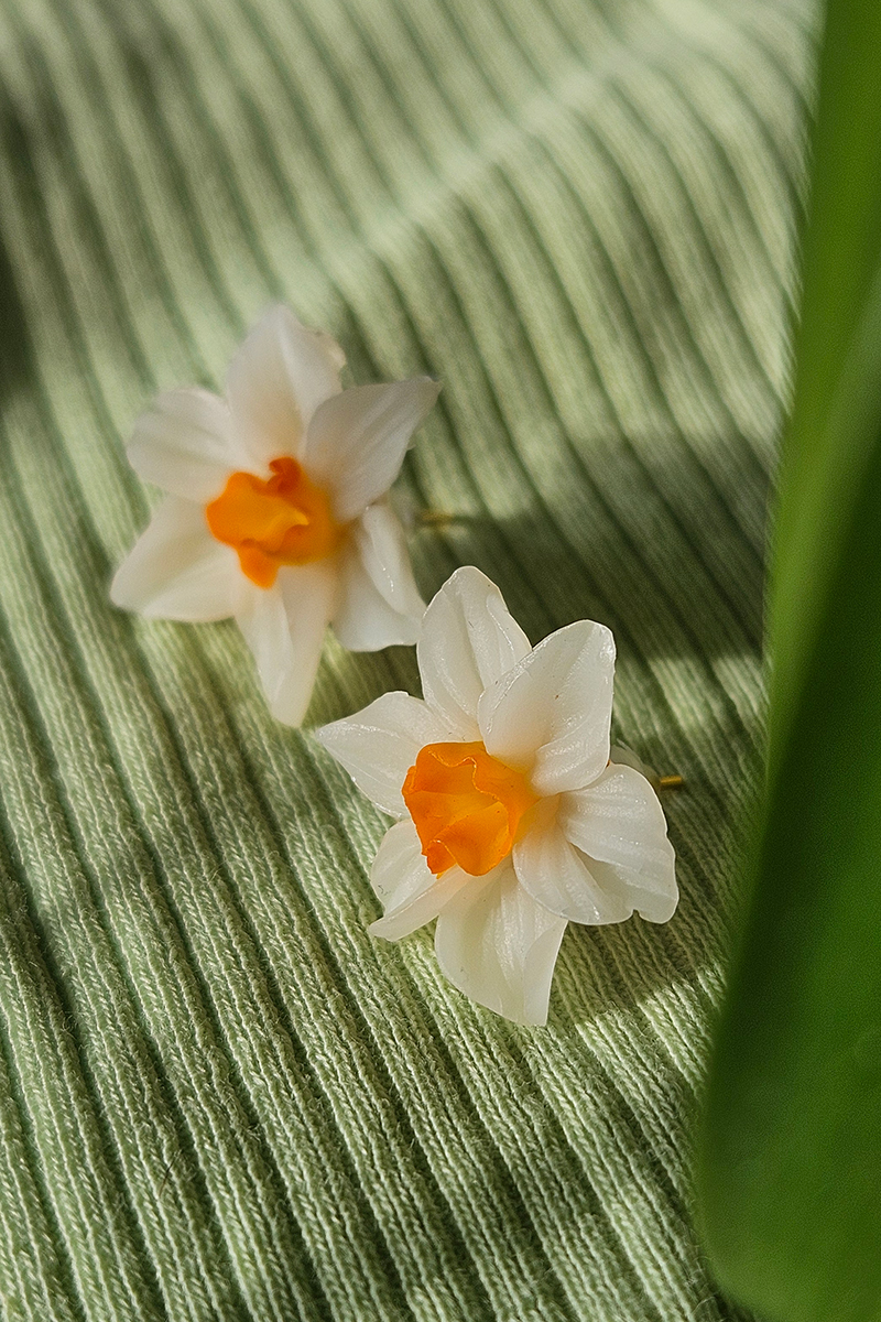 nartsissiga eesti disain kõrvarõngad