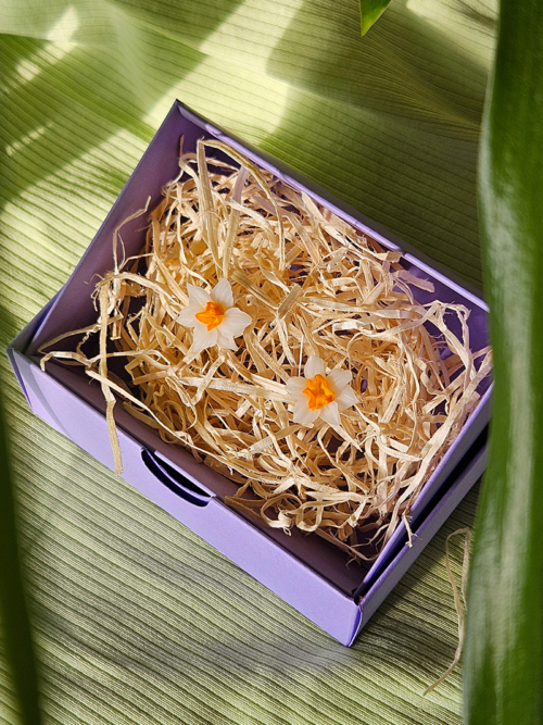 nartsissiga eesti disain kõrvarõngad