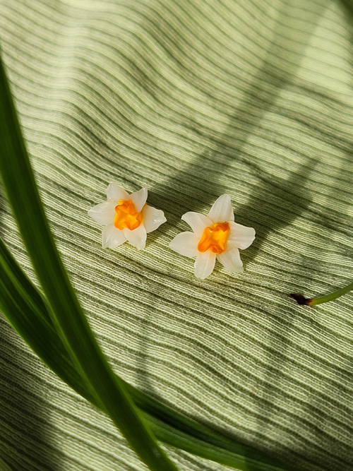 nartsissiga kõrvarõngad