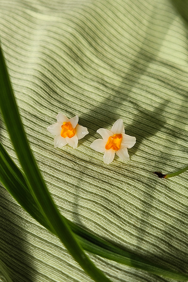 nartsissiga kõrvarõngad